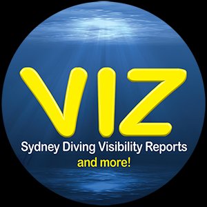 VIZ Logo
