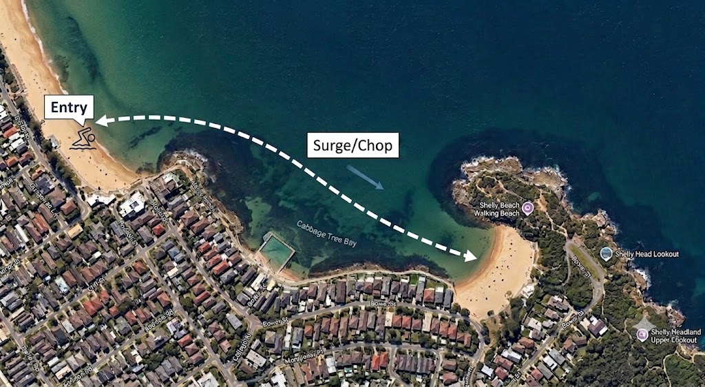 Aerial view of Cabbage Tree Bay.