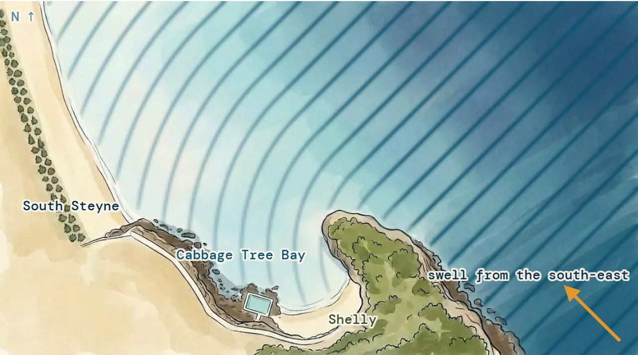 Painted map of Cabbage Tree Bay from above: swell from the south-east, drawn as crest lines, wraps round Shelly headland and fans into the bay, fading towards South Steyne.